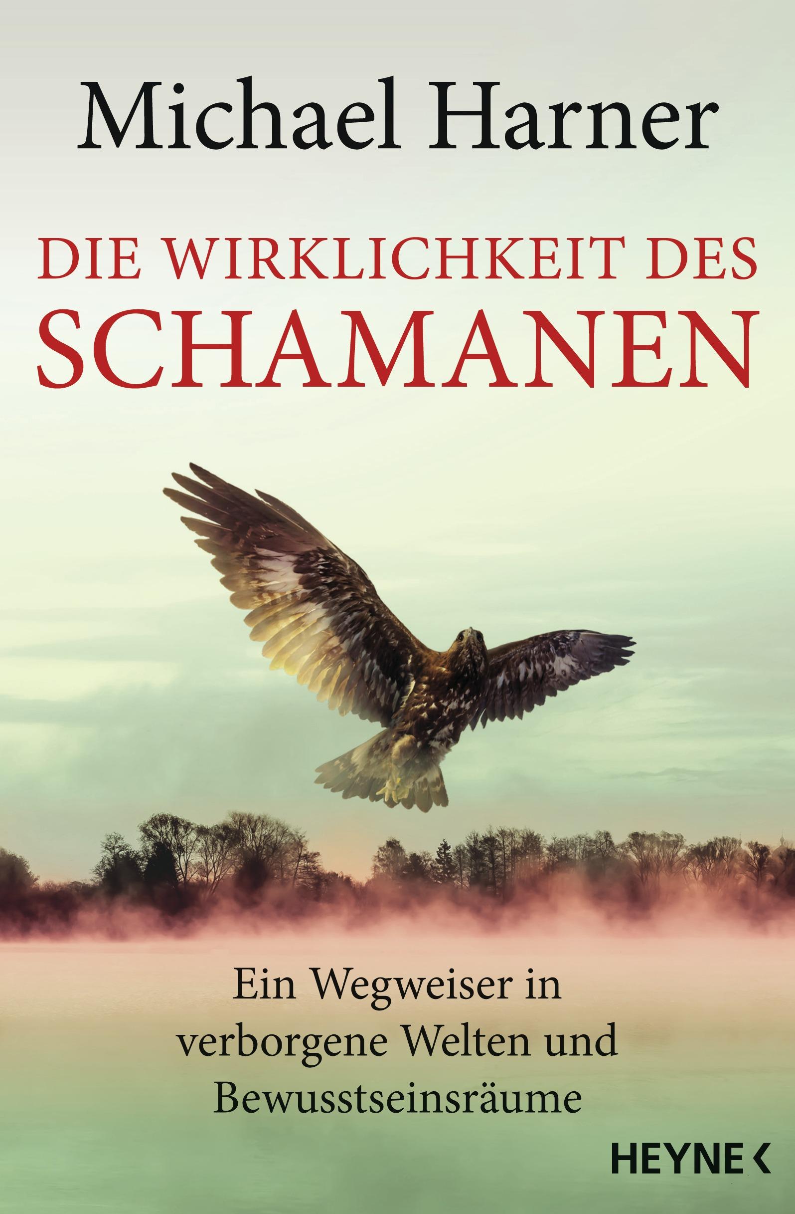 Vorderes Coverbild Die Wirklichkeit des Schamanen