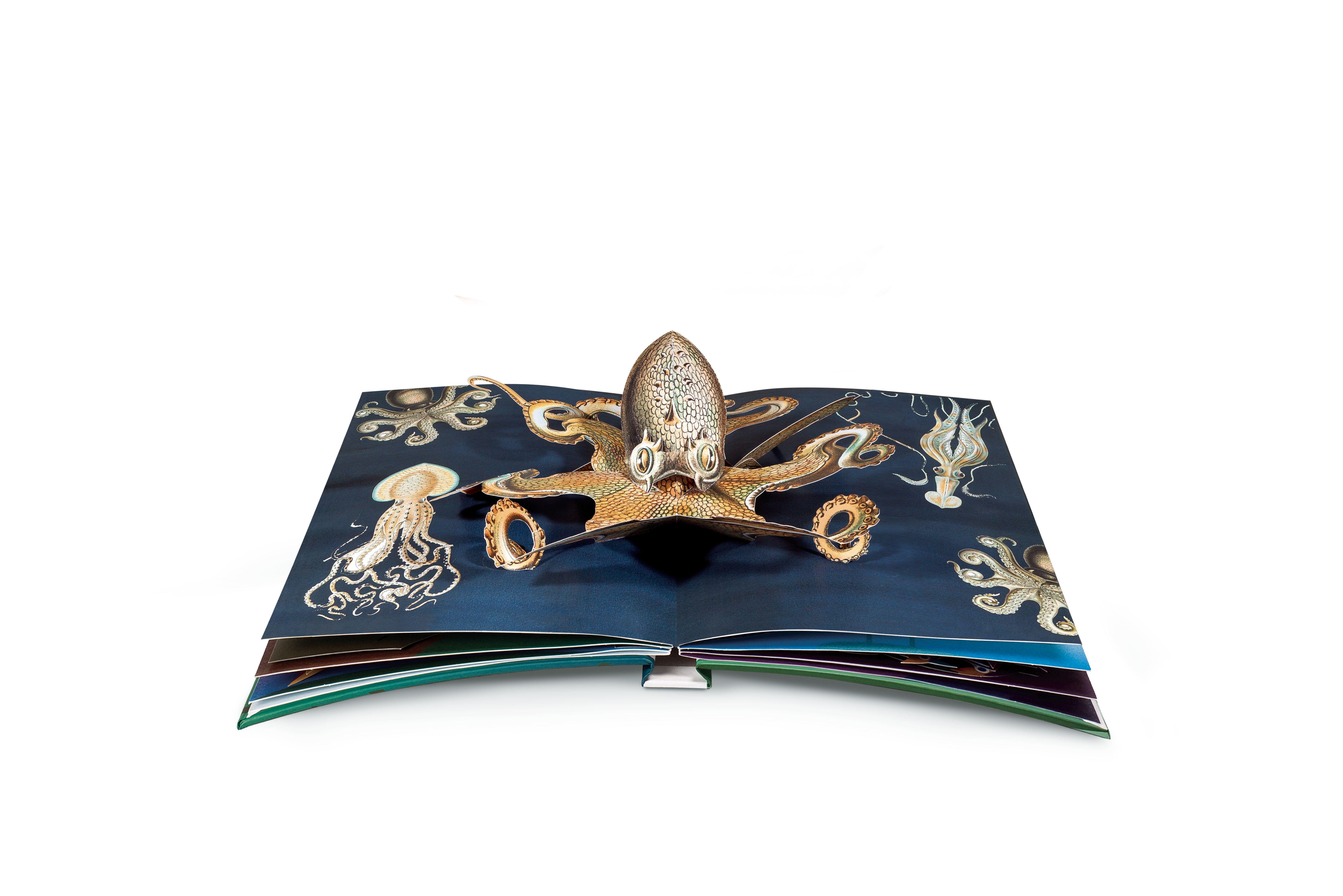 Beispielinhalt (Bild) Wunderwesen aus der Tiefe. Ernst Haeckel