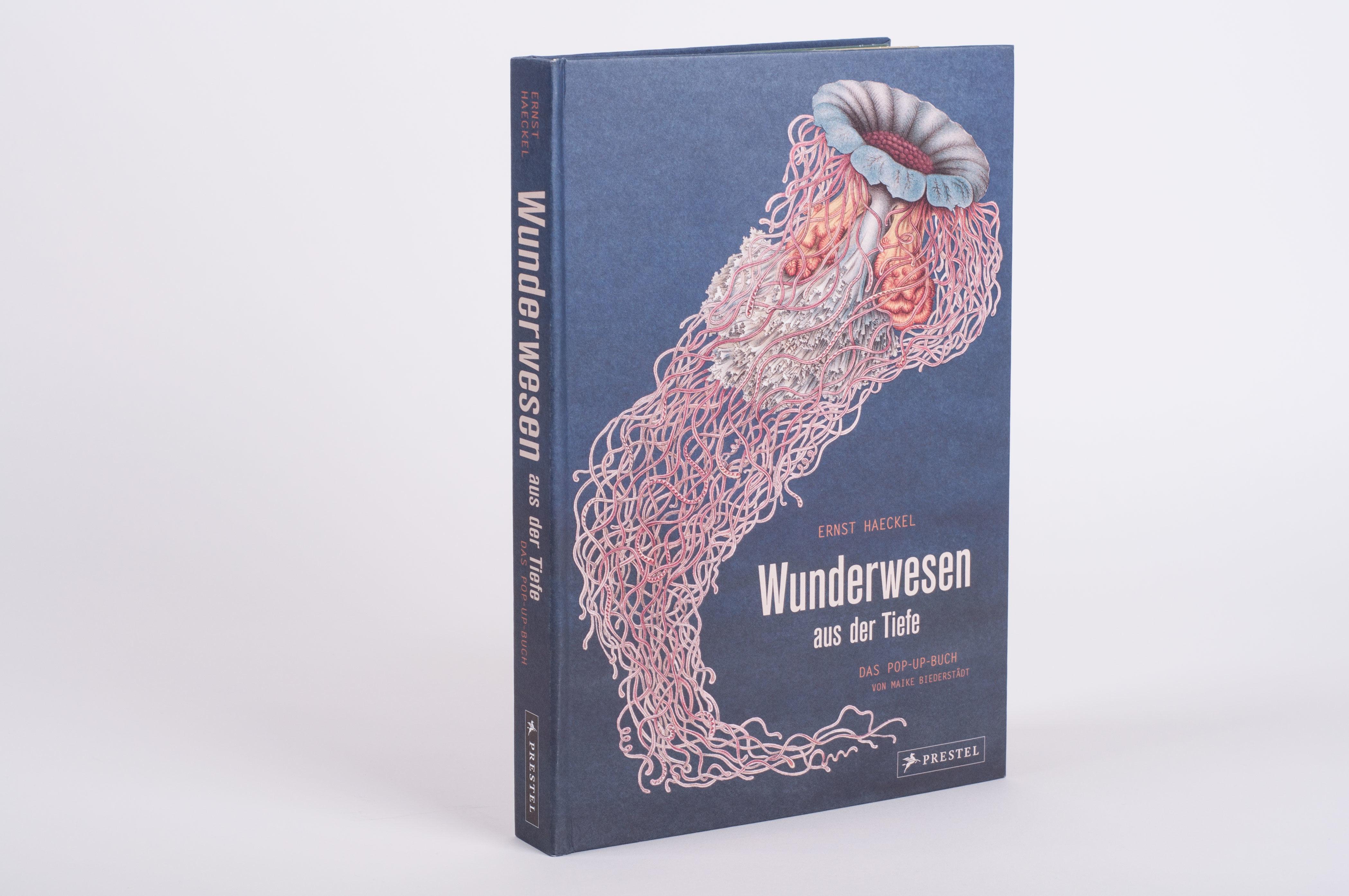 Beispielinhalt (Bild) Wunderwesen aus der Tiefe. Ernst Haeckel