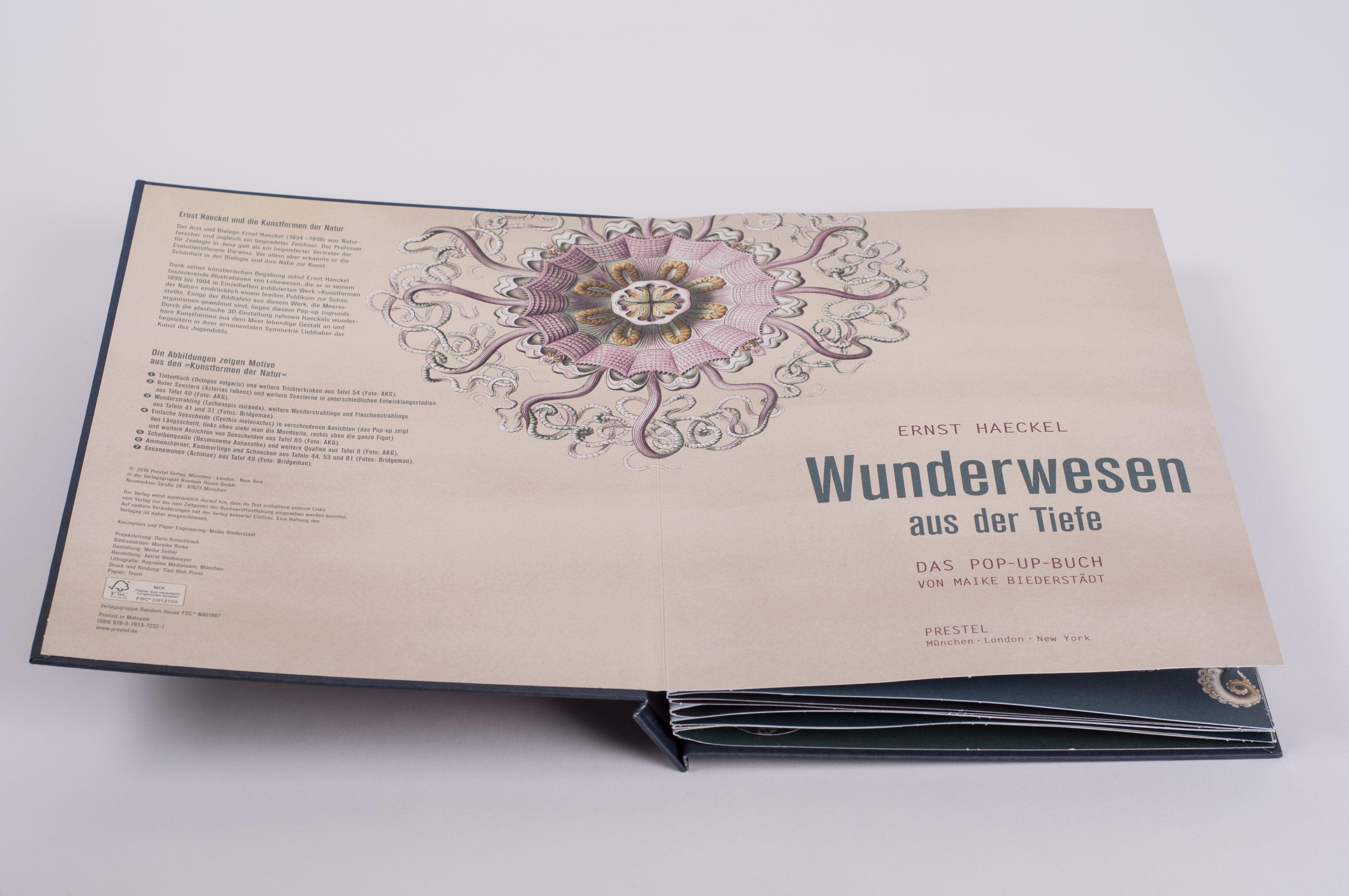 Beispielinhalt (Bild) Wunderwesen aus der Tiefe. Ernst Haeckel