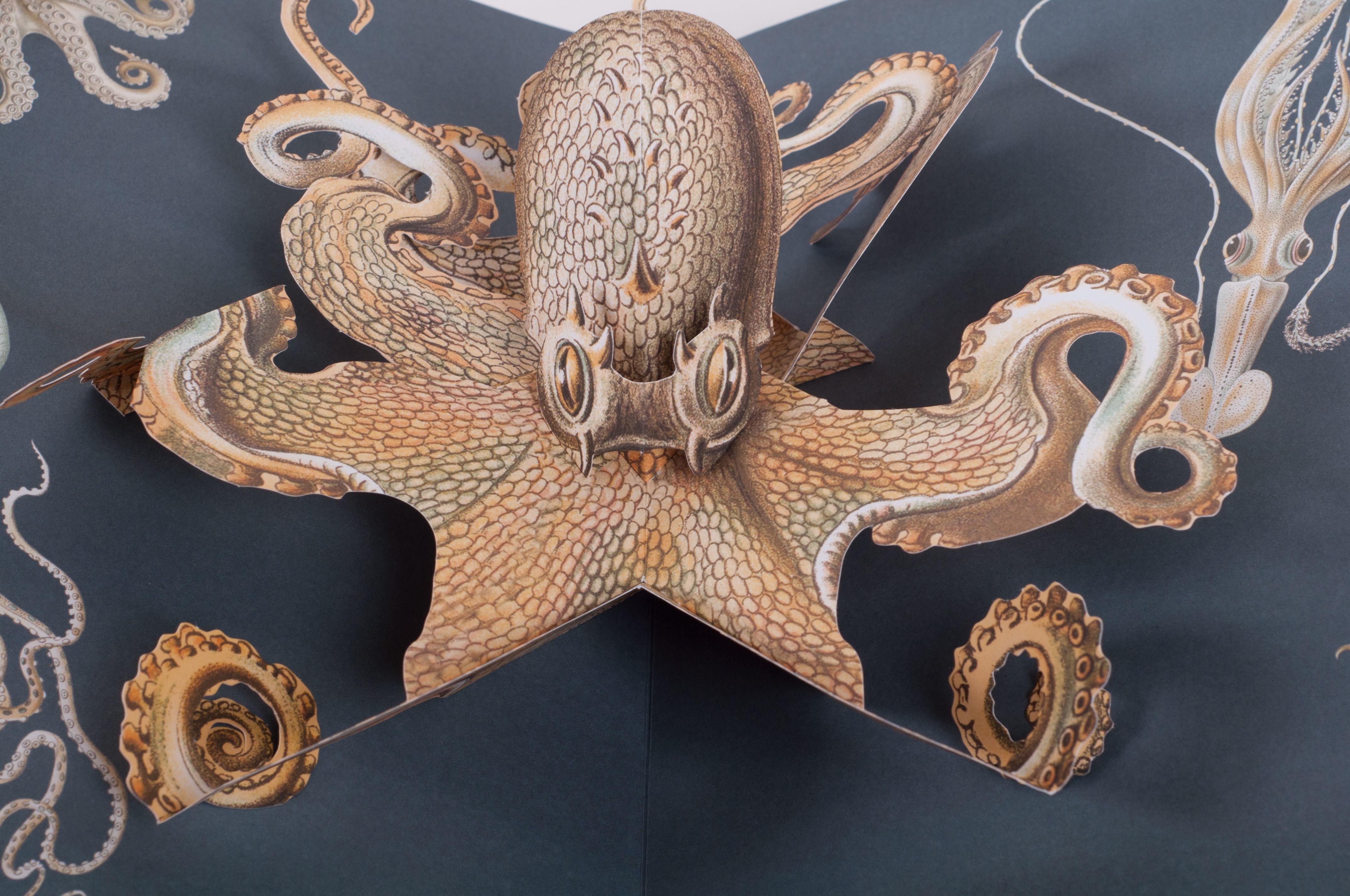 Beispielinhalt (Bild) Wunderwesen aus der Tiefe. Ernst Haeckel