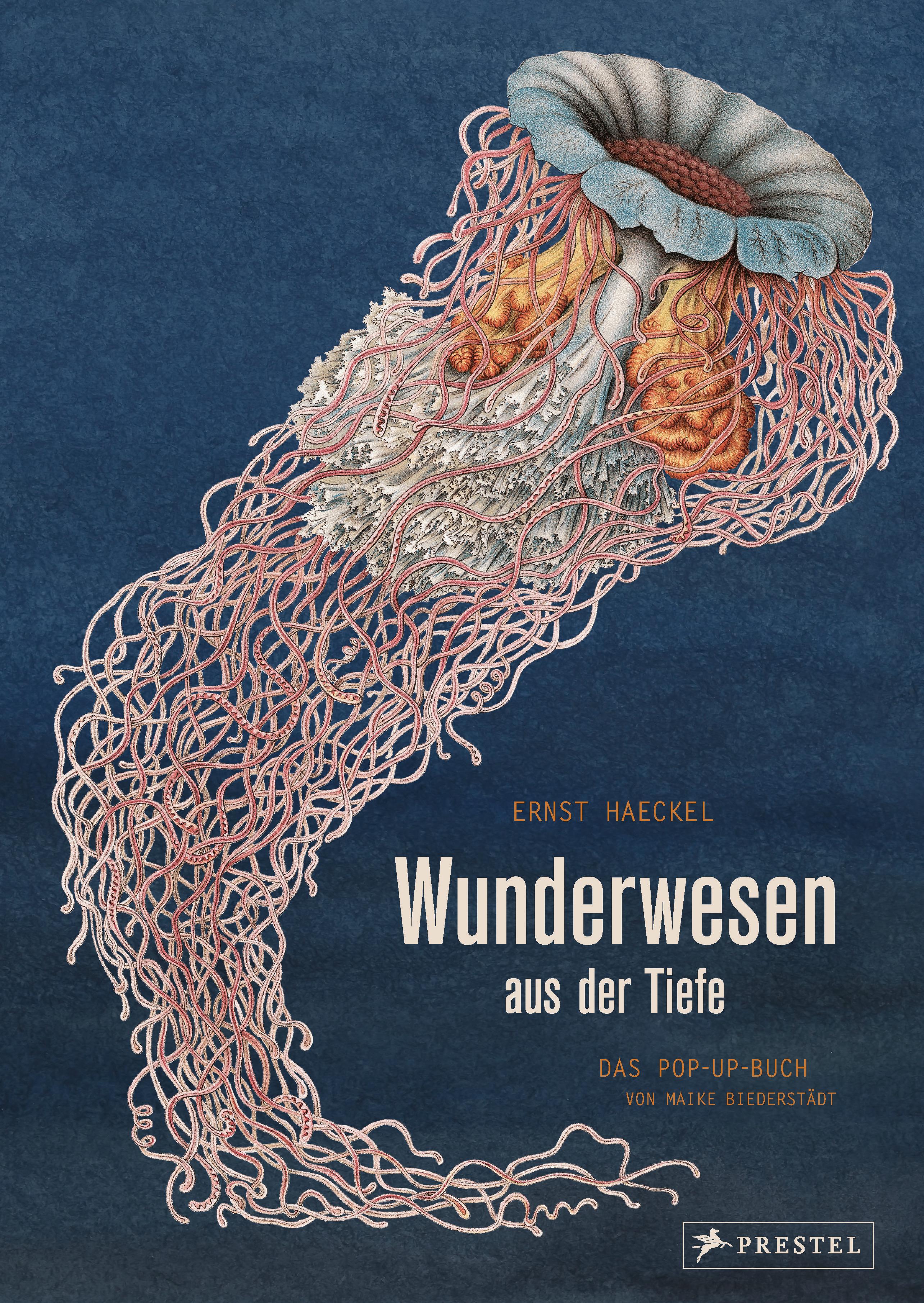 Vorderes Coverbild Wunderwesen aus der Tiefe. Ernst Haeckel