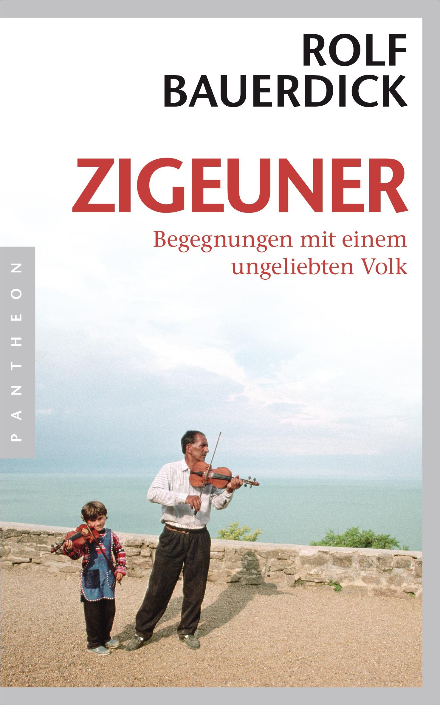 Vorderes Coverbild Zigeuner