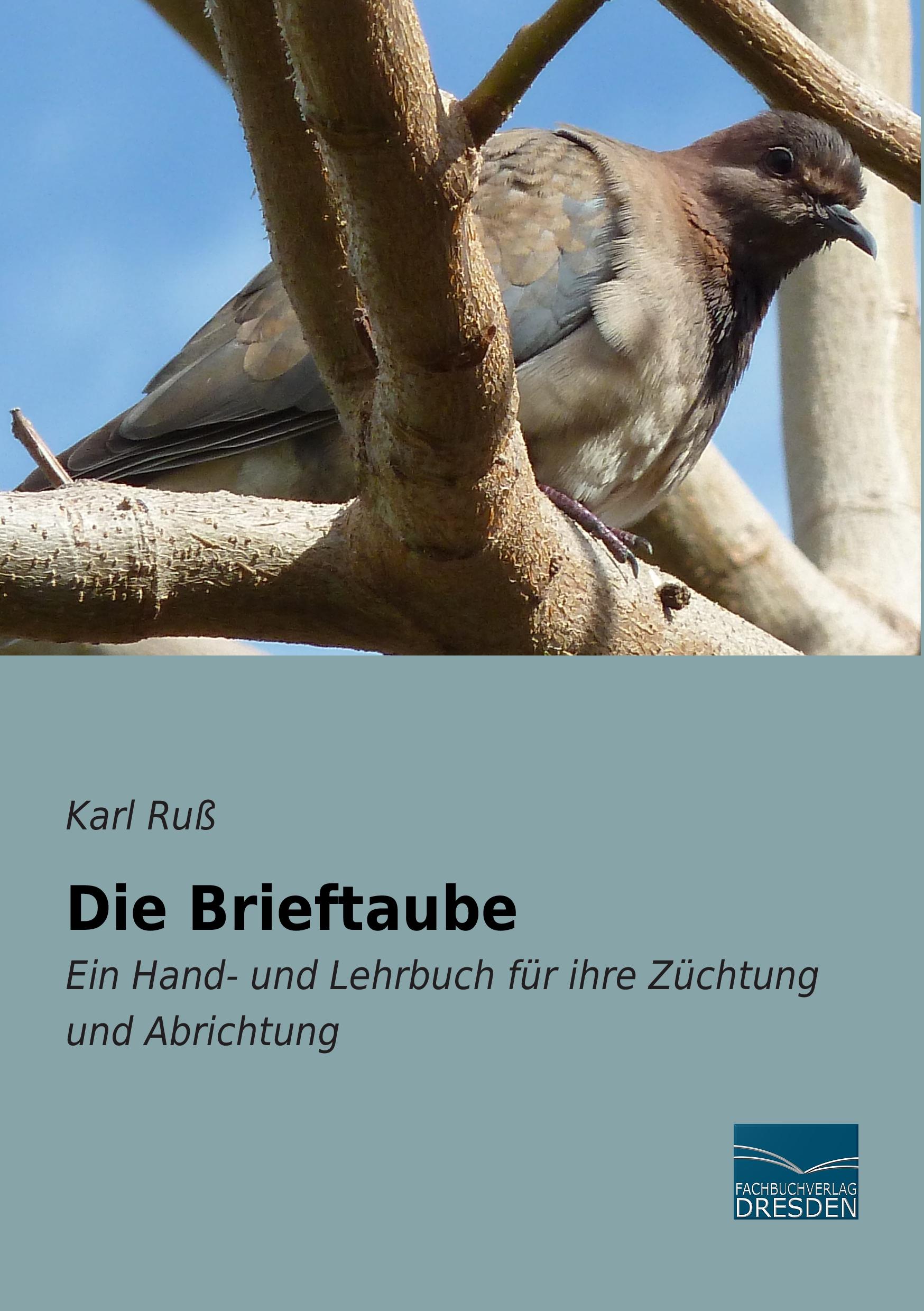 Vorderes Coverbild Die Brieftaube
