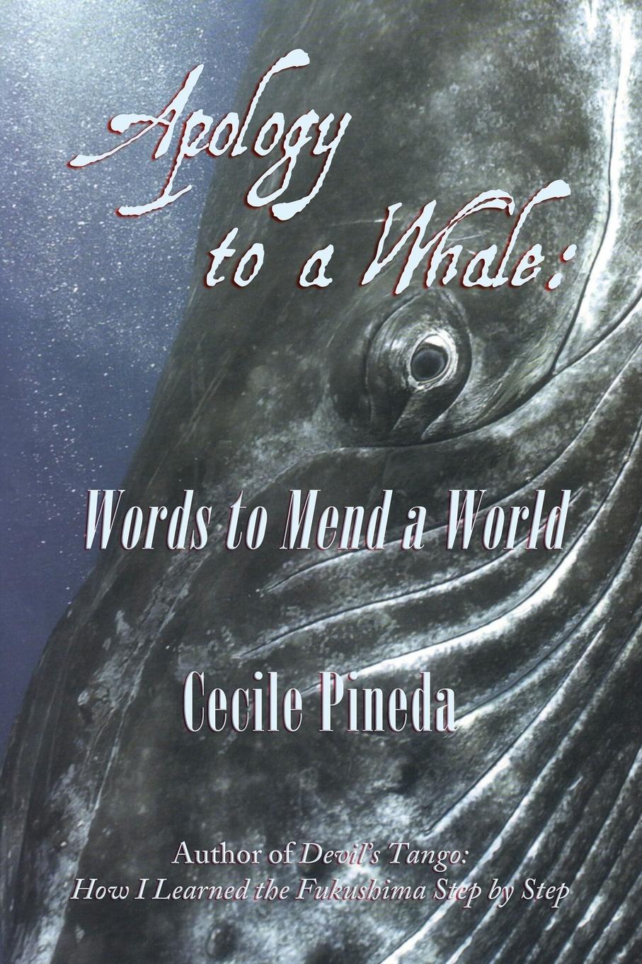 Vorderes Coverbild Apology to a Whale
