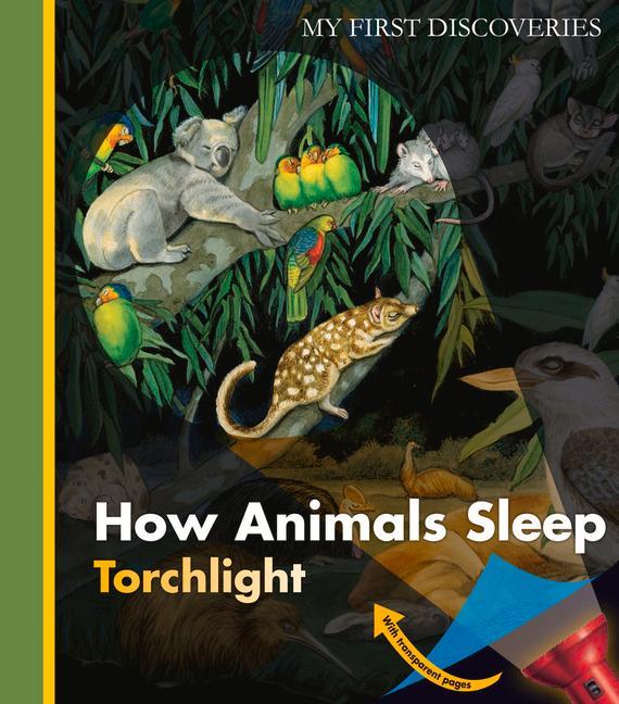 Vorderes Coverbild How Animals Sleep