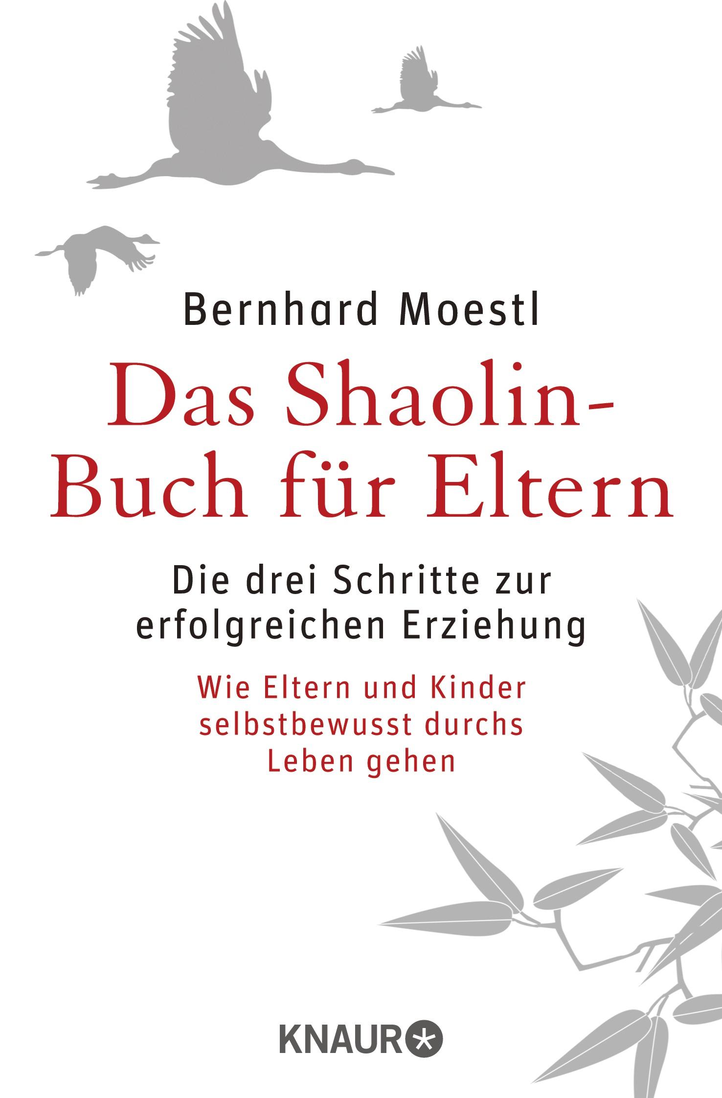 Vorderes Coverbild Das Shaolin-Buch für Eltern