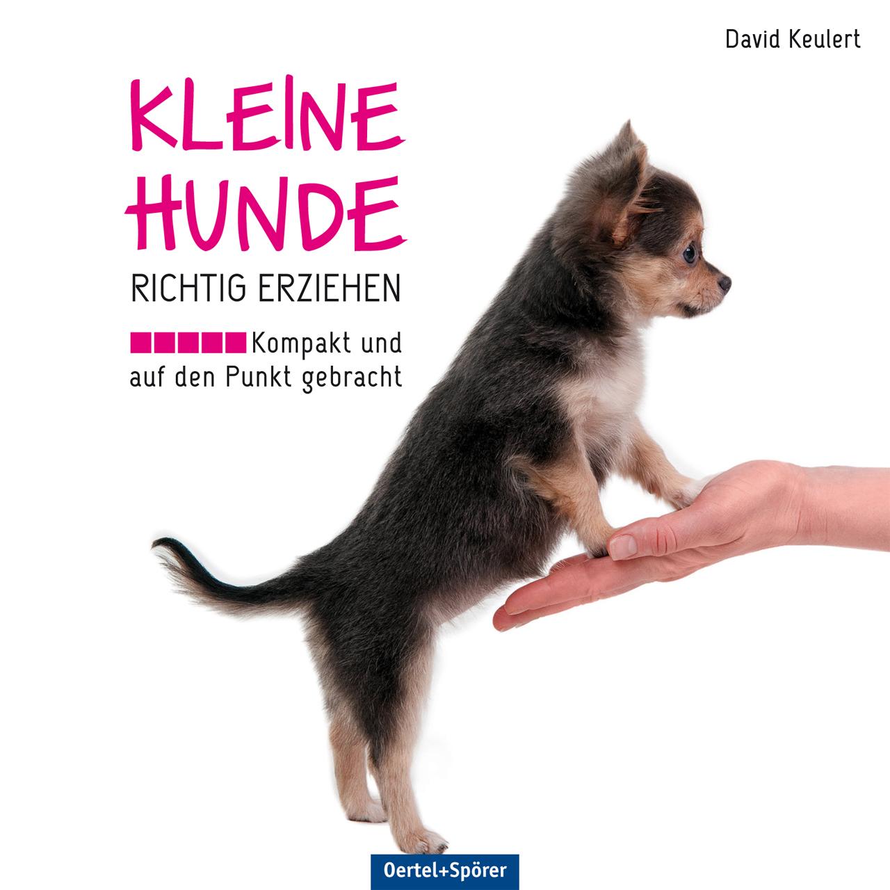 Vorderes Coverbild Kleine Hunde richtig erziehen