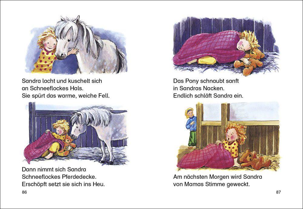 Beispielinhalt (Bild) Leselöwen - Das Original: 7-Minuten-Geschichten zum Lesenlernen - Auf ins Pferdeparadies!