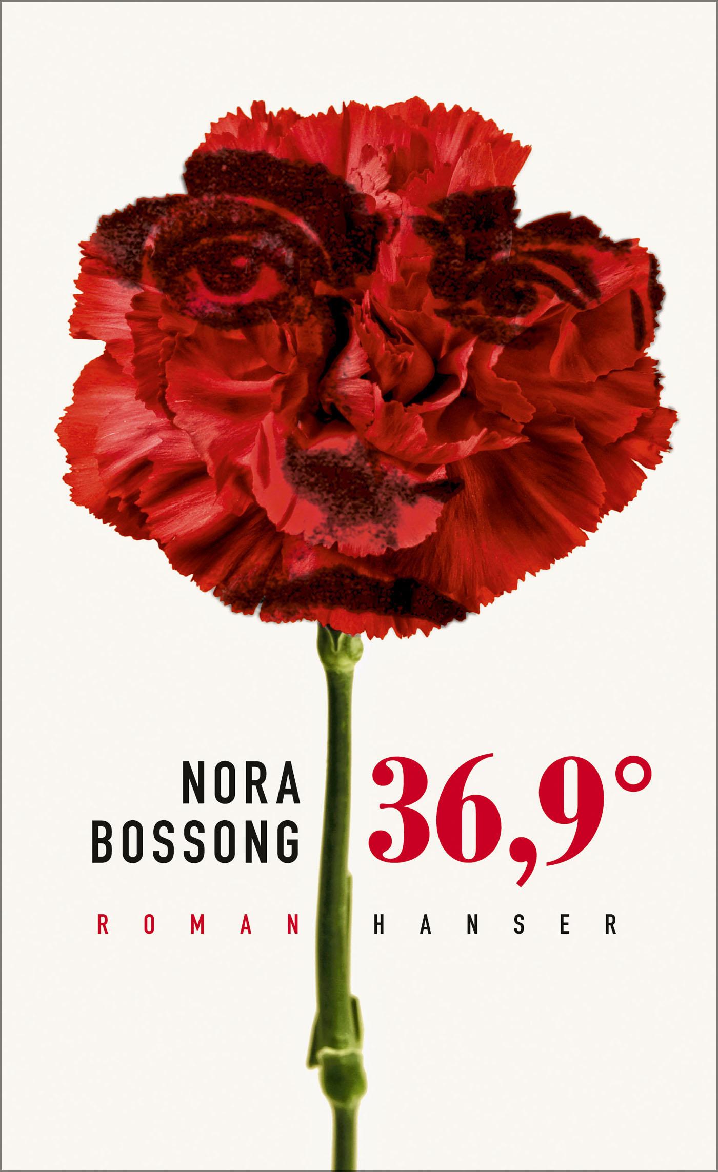Vorderes Coverbild 36,9°