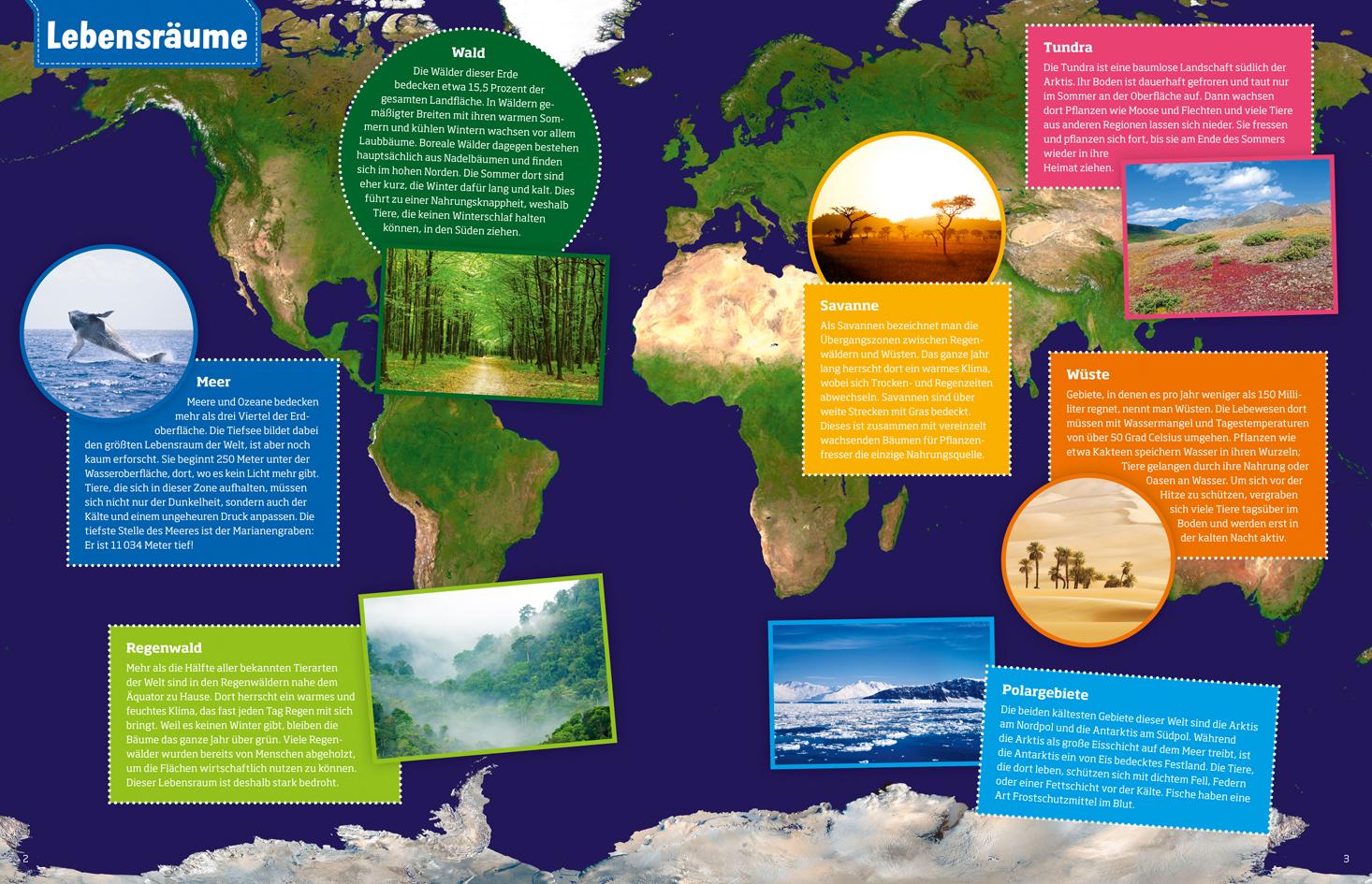 Beispielinhalt (Bild) WAS IST WAS Geniale Tiere ... und ihre Tricks