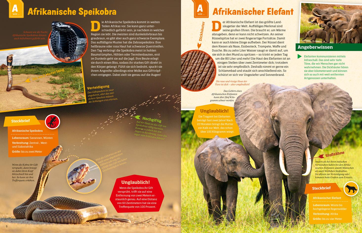 Beispielinhalt (Bild) WAS IST WAS Geniale Tiere ... und ihre Tricks