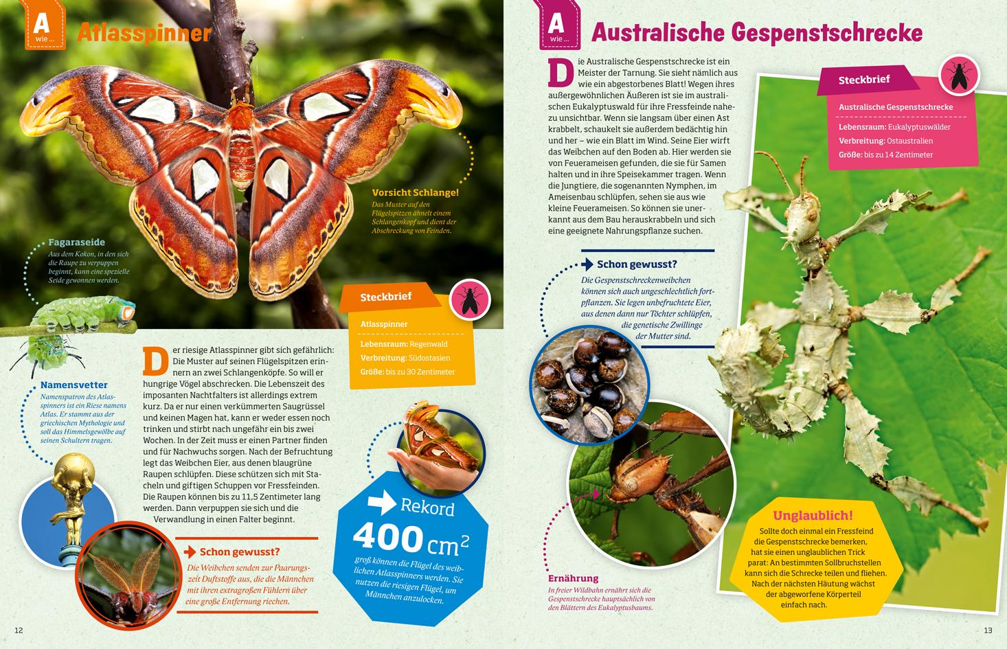 Beispielinhalt (Bild) WAS IST WAS Geniale Tiere ... und ihre Tricks