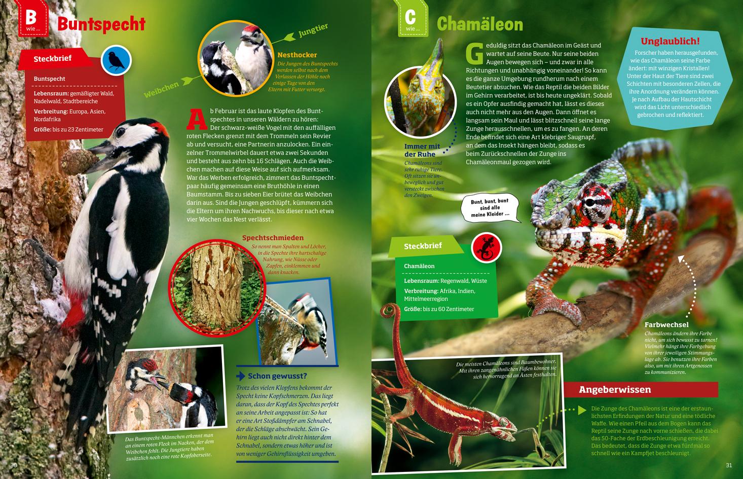 Beispielinhalt (Bild) WAS IST WAS Geniale Tiere ... und ihre Tricks