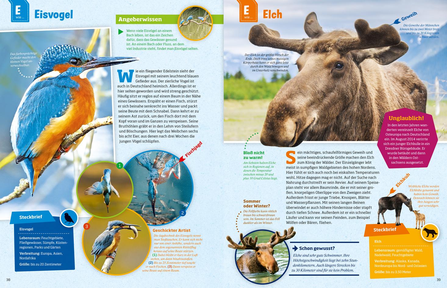 Beispielinhalt (Bild) WAS IST WAS Geniale Tiere ... und ihre Tricks