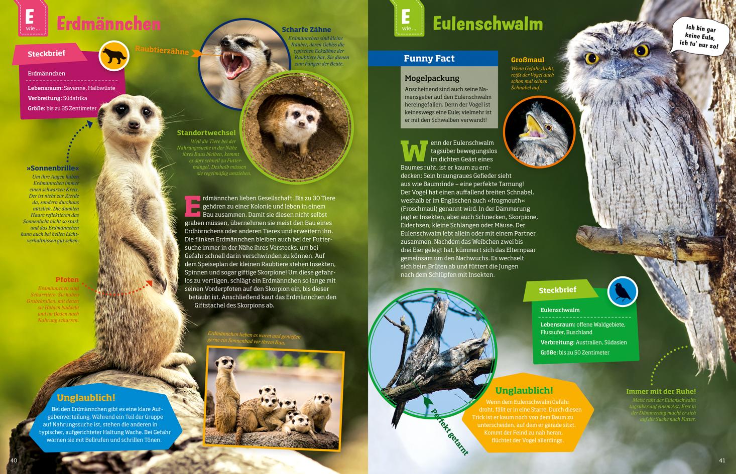 Beispielinhalt (Bild) WAS IST WAS Geniale Tiere ... und ihre Tricks