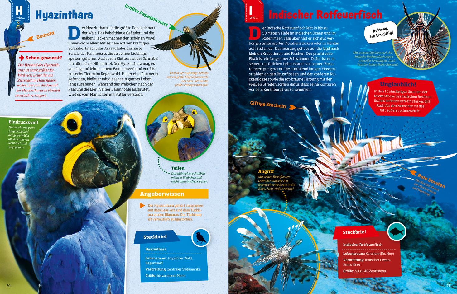 Beispielinhalt (Bild) WAS IST WAS Geniale Tiere ... und ihre Tricks