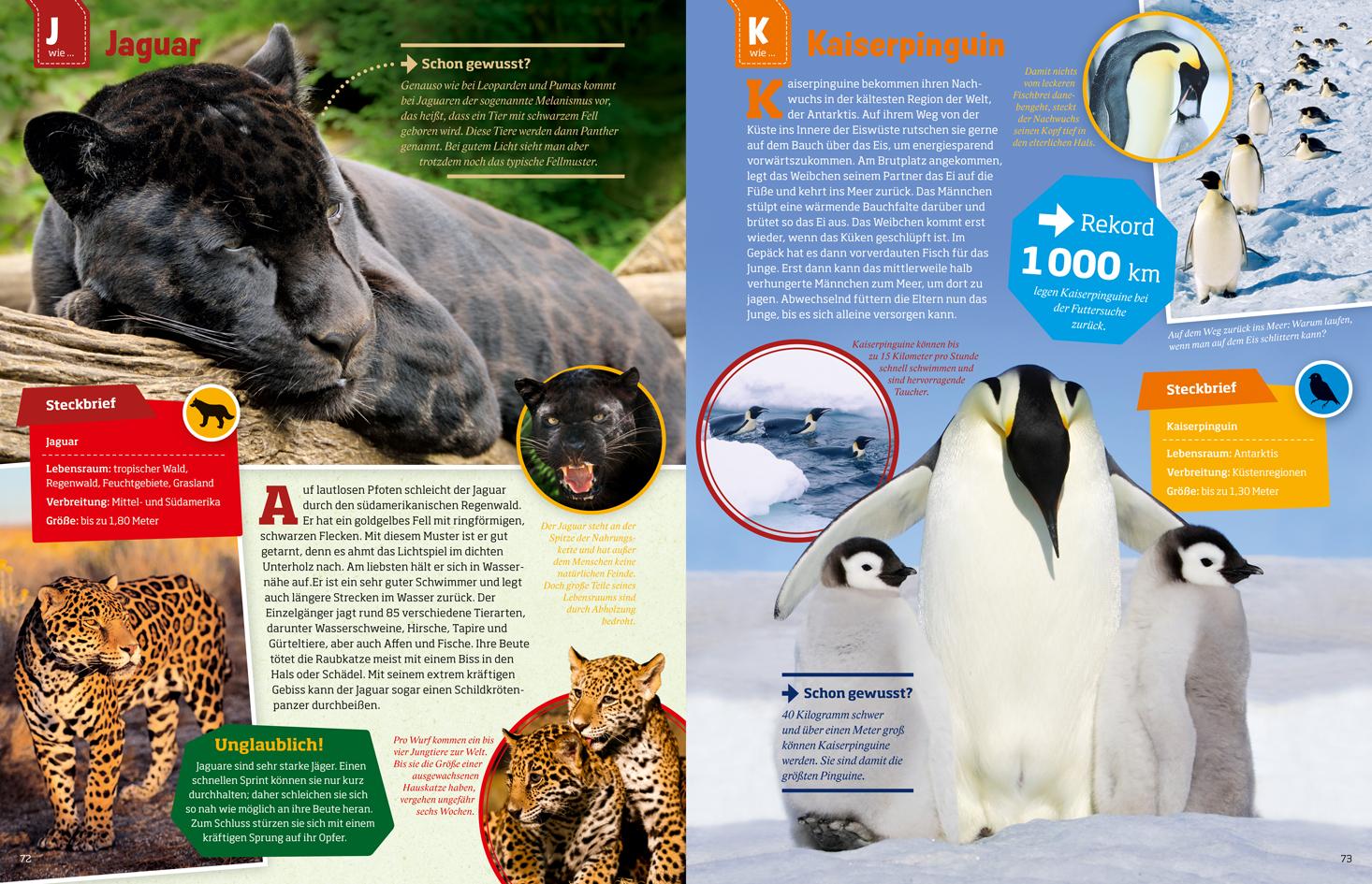 Beispielinhalt (Bild) WAS IST WAS Geniale Tiere ... und ihre Tricks