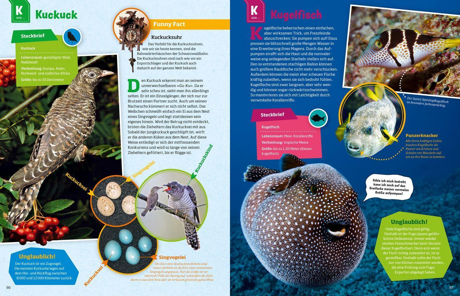 Beispielinhalt (Bild) WAS IST WAS Geniale Tiere ... und ihre Tricks