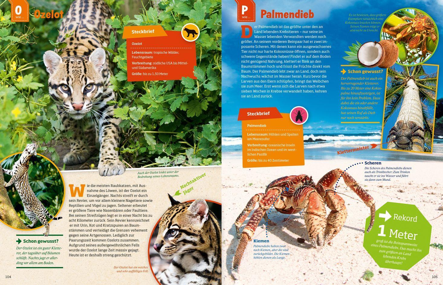 Beispielinhalt (Bild) WAS IST WAS Geniale Tiere ... und ihre Tricks