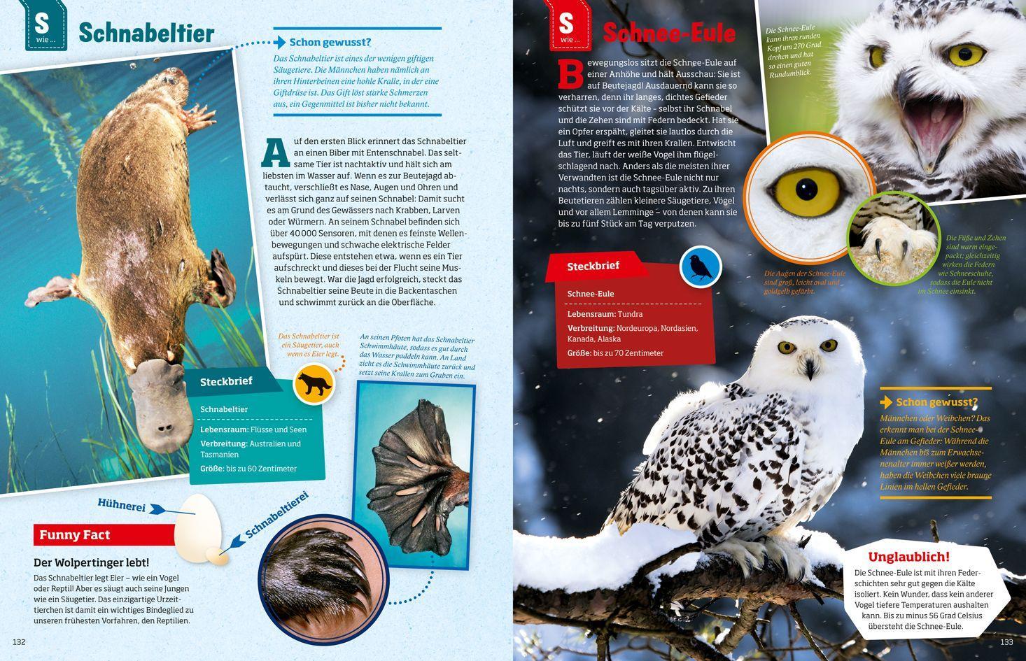 Beispielinhalt (Bild) WAS IST WAS Geniale Tiere ... und ihre Tricks