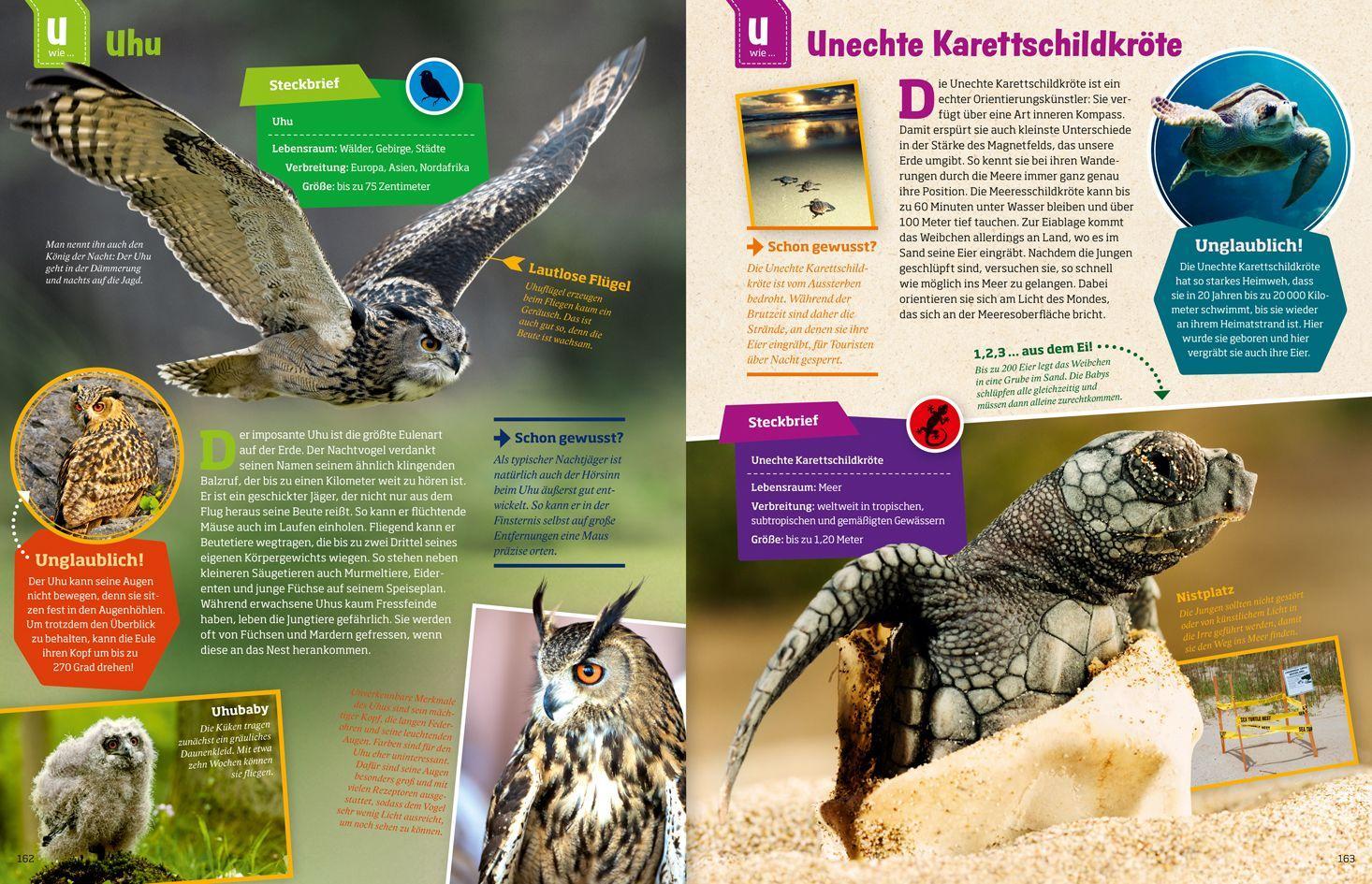 Beispielinhalt (Bild) WAS IST WAS Geniale Tiere ... und ihre Tricks