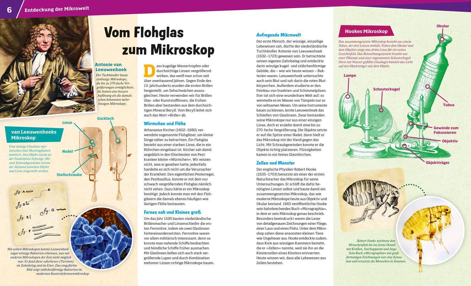 Beispielinhalt (Bild) WAS IST WAS Band 8 Mikroskop. Was dem Auge verborgen bleibt