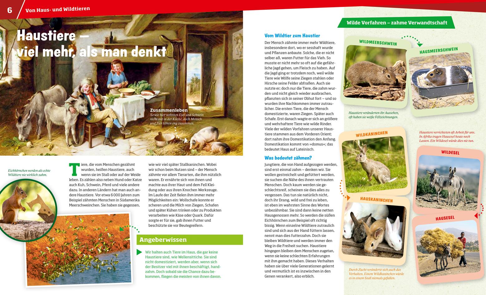 Beispielinhalt (Bild) WAS IST WAS Band 72 Haustiere. Unsere liebsten Freunde