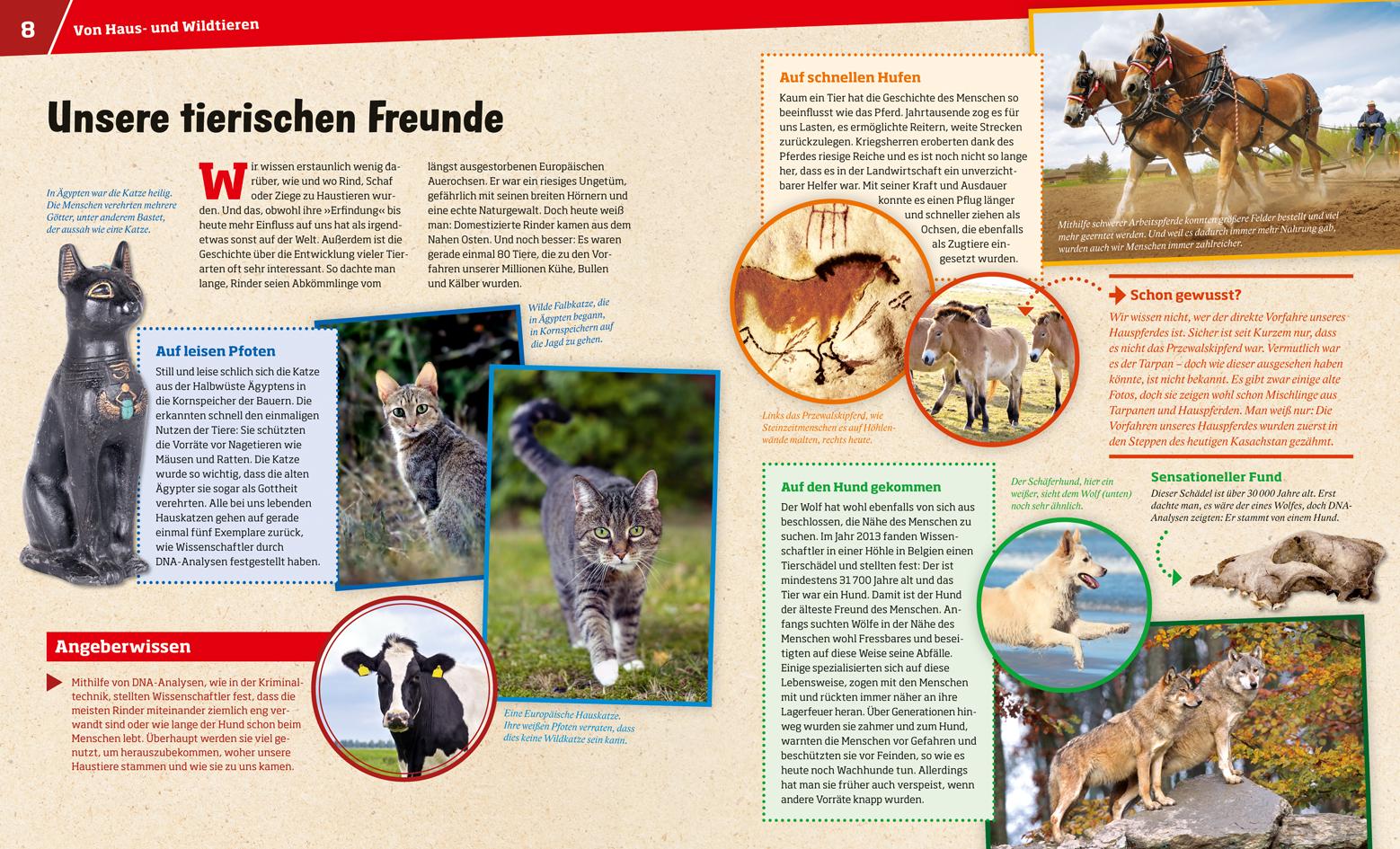 Beispielinhalt (Bild) WAS IST WAS Band 72 Haustiere. Unsere liebsten Freunde