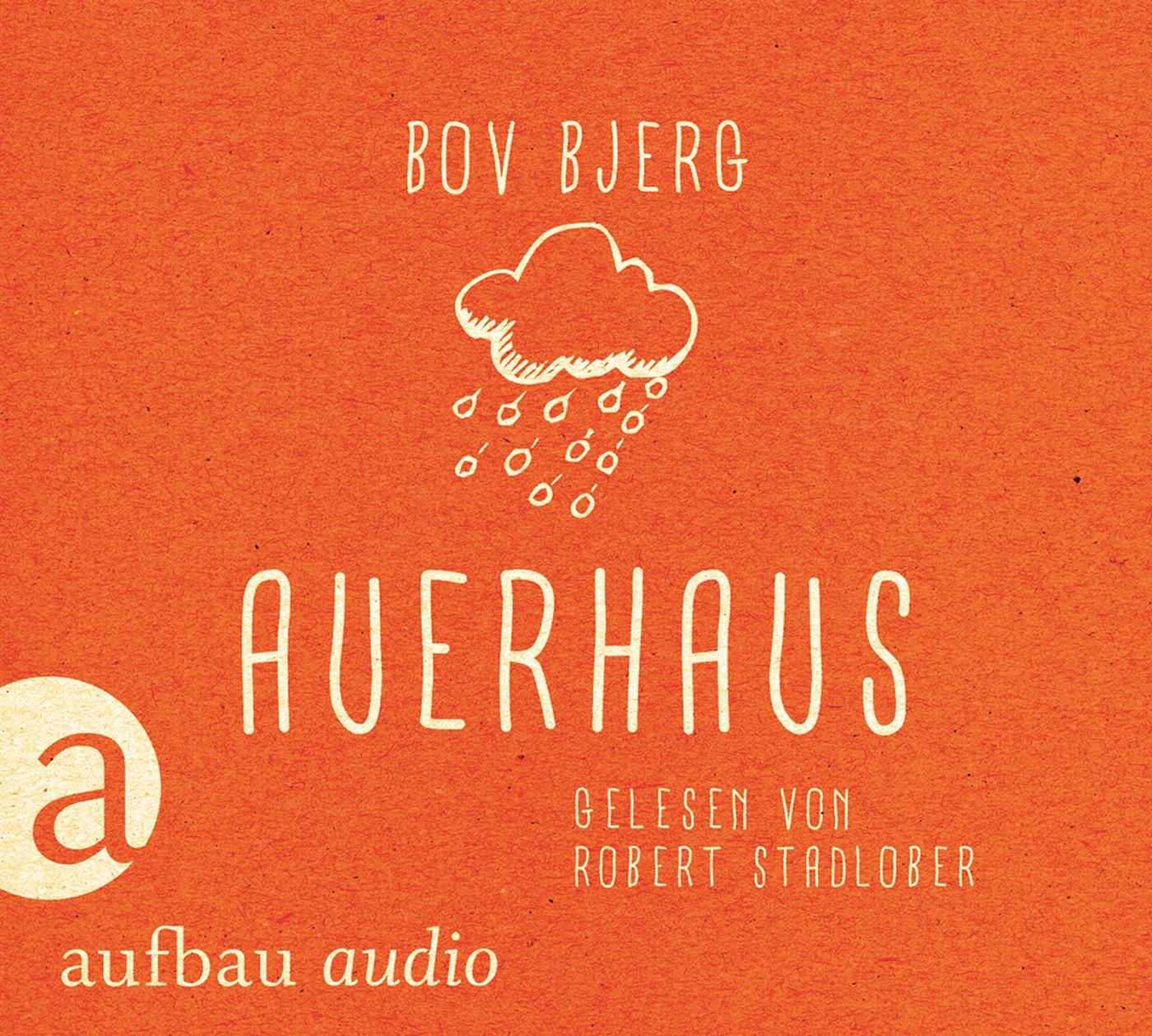 Vorderes Coverbild Auerhaus