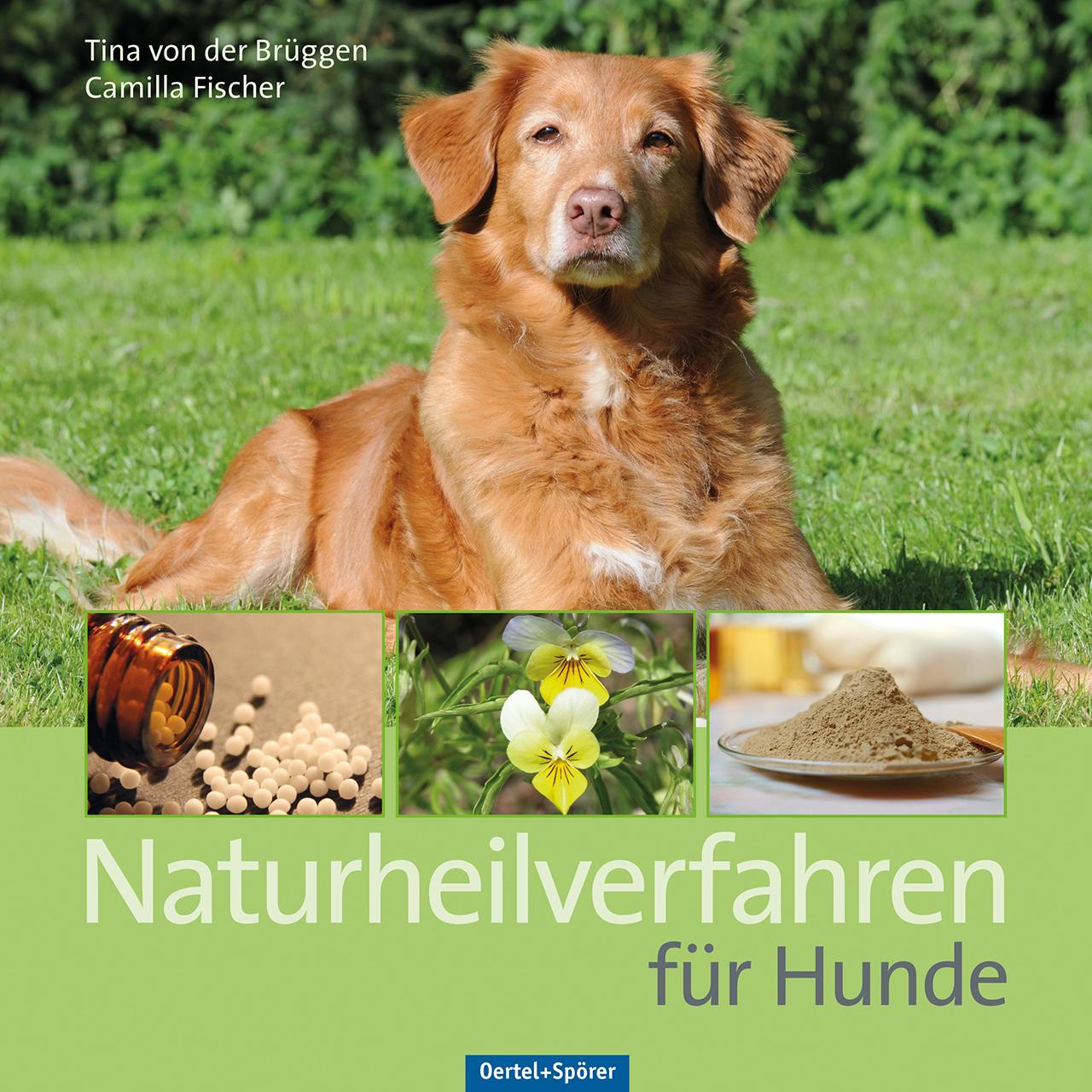 Vorderes Coverbild Naturheilverfahren für Hunde