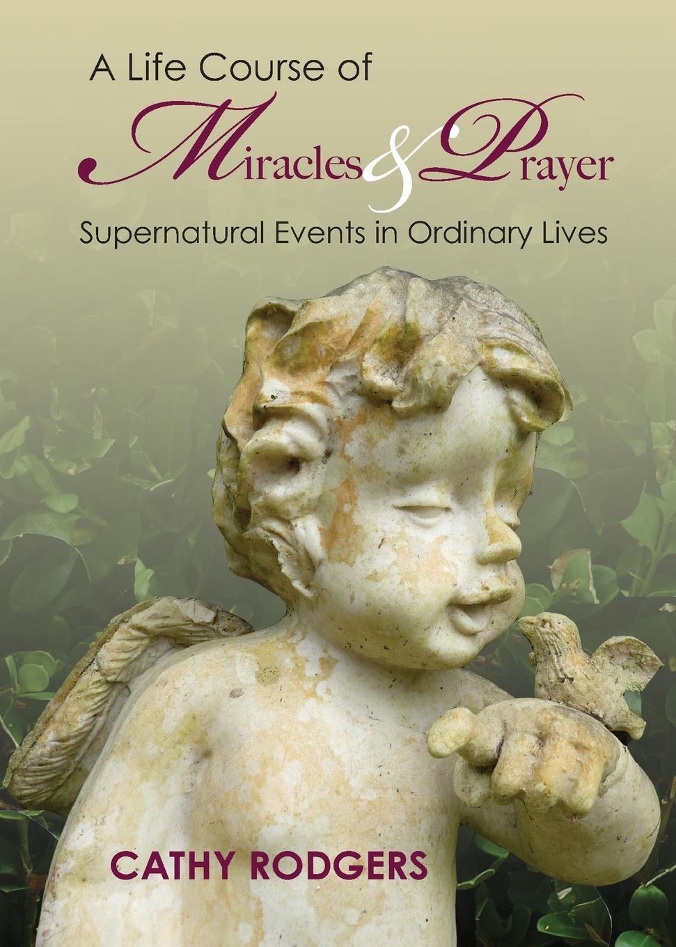 Vorderes Coverbild A Life Course of Miracles and Prayer