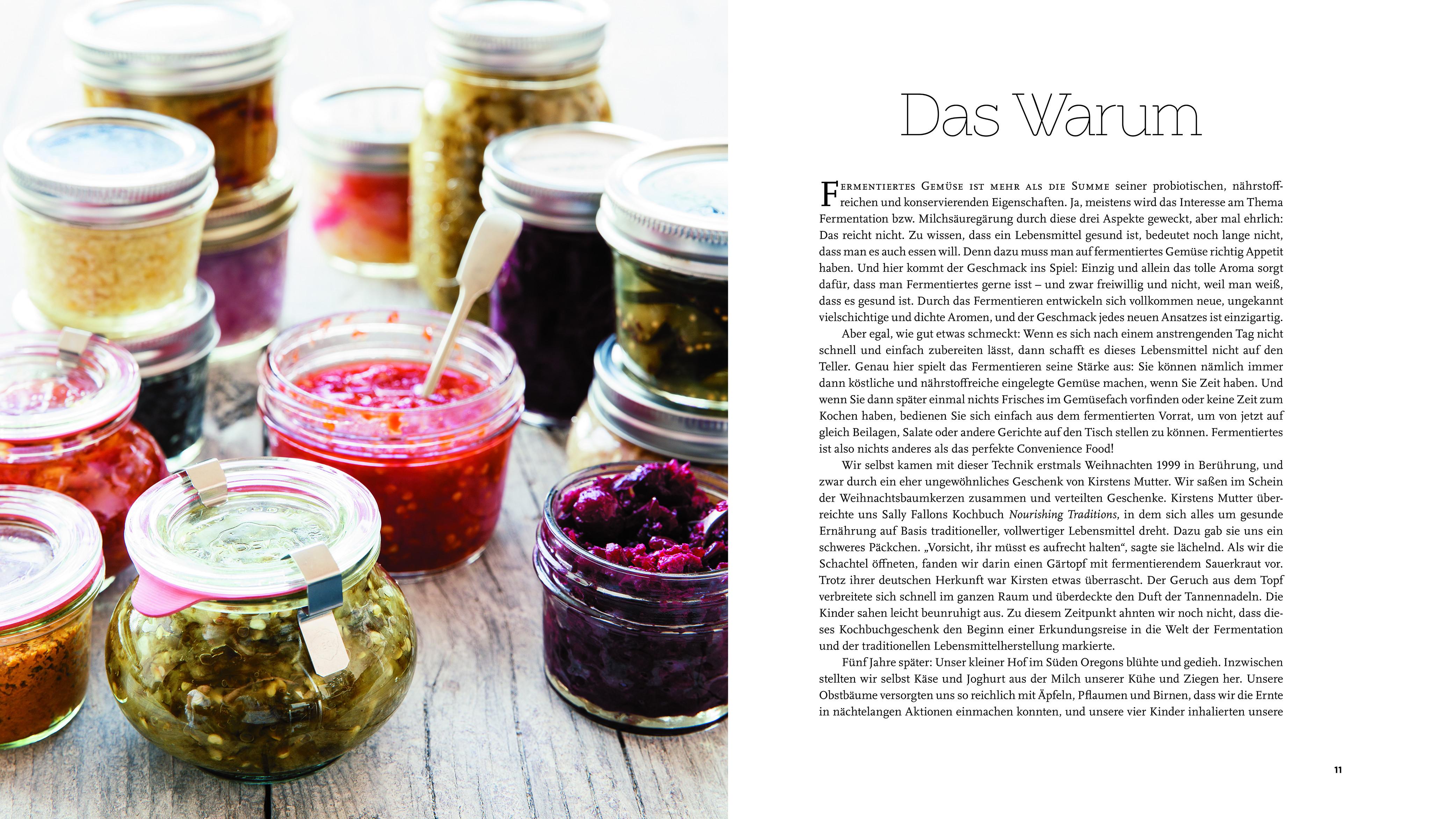 Beispielinhalt (Bild) Fermentieren
