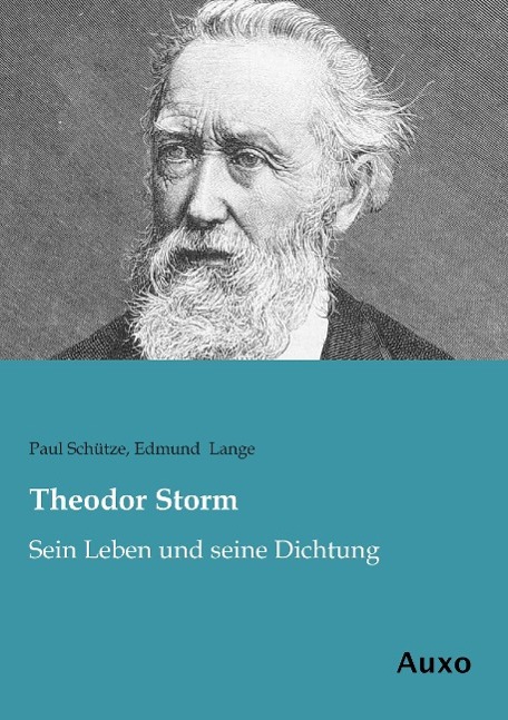 Vorderes Coverbild Theodor Storm