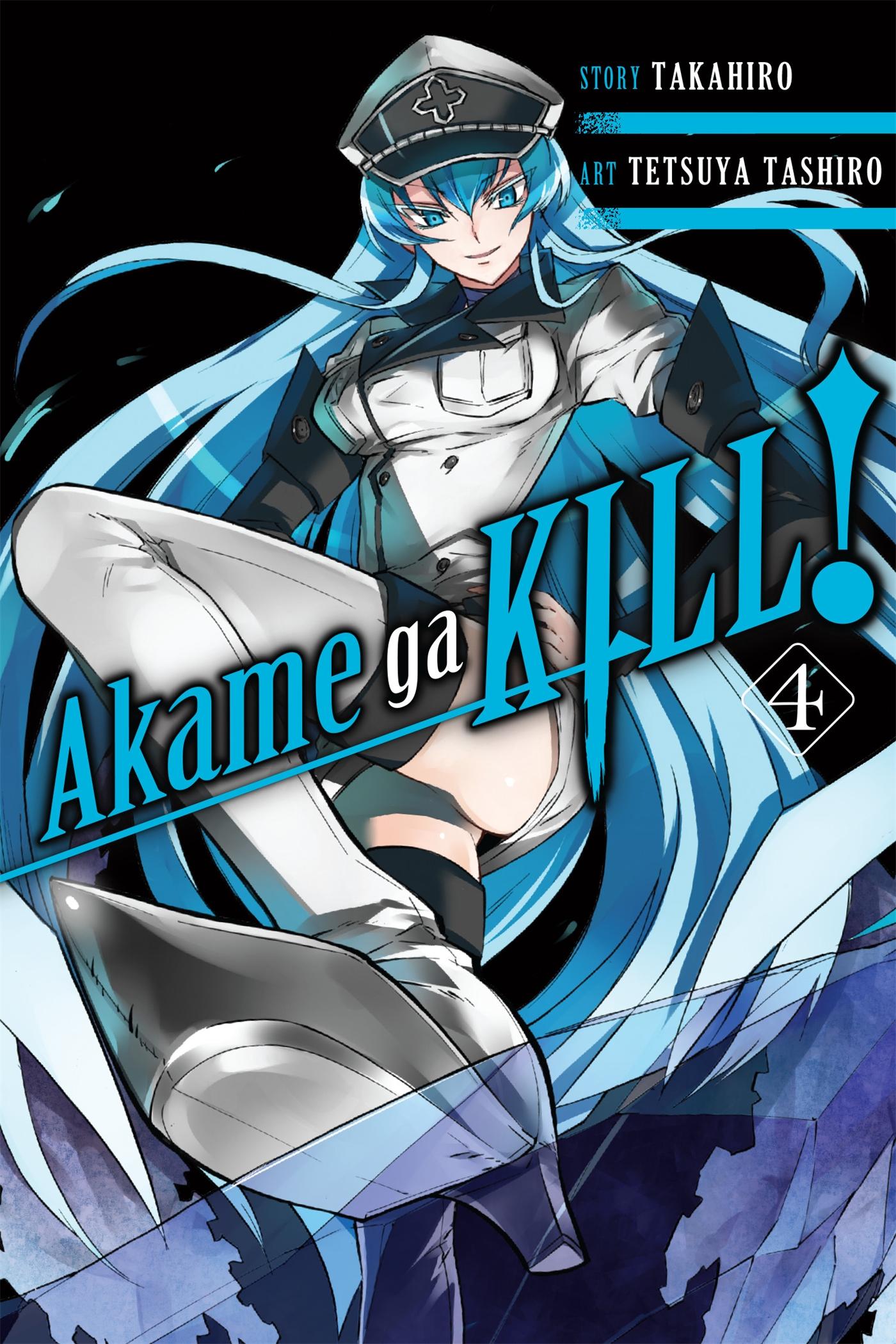 Vorderes Coverbild Akame Ga Kill!, Vol. 4