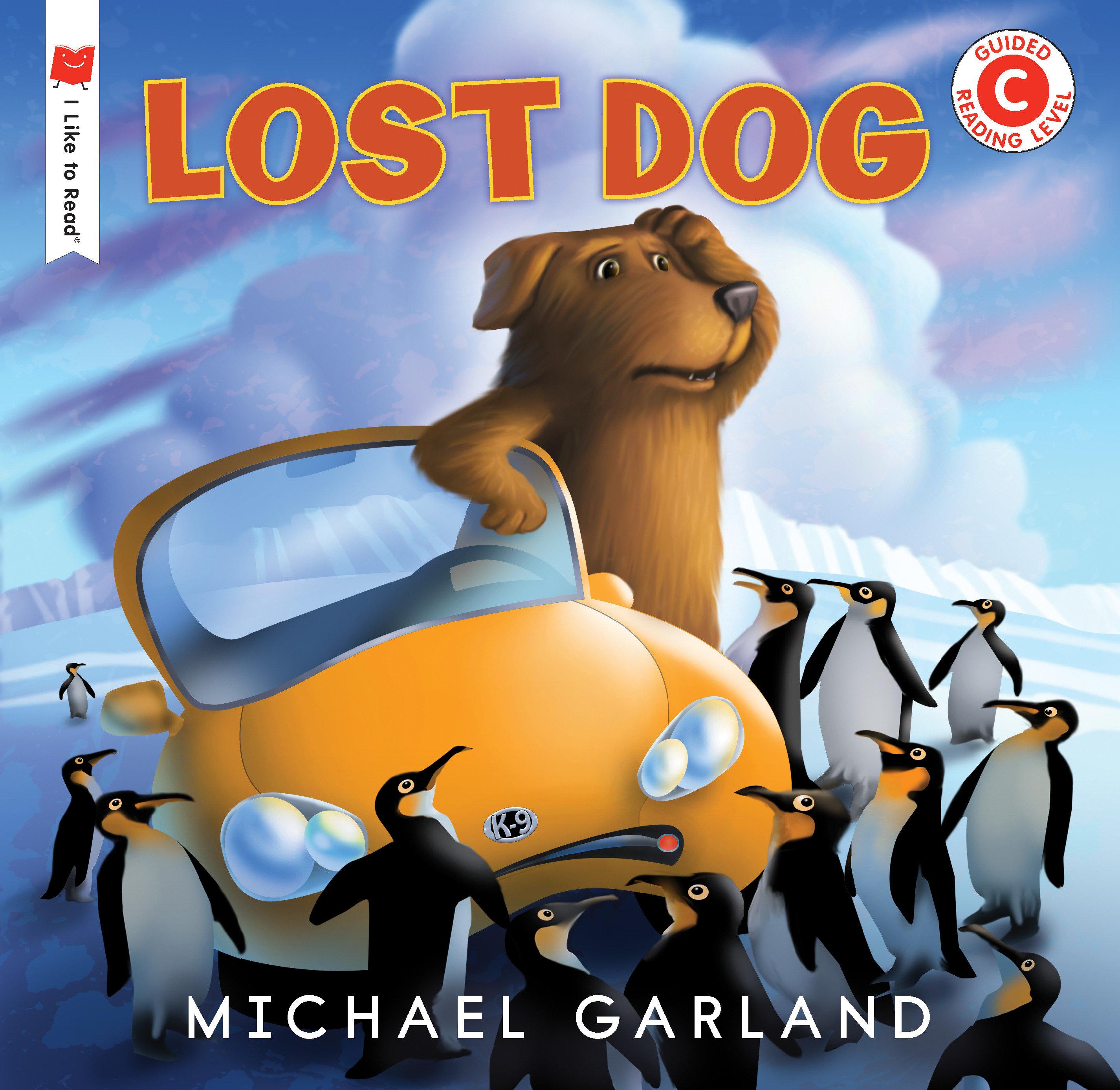 Vorderes Coverbild Lost Dog
