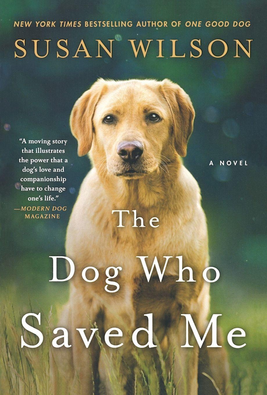 Vorderes Coverbild Dog Who Saved Me