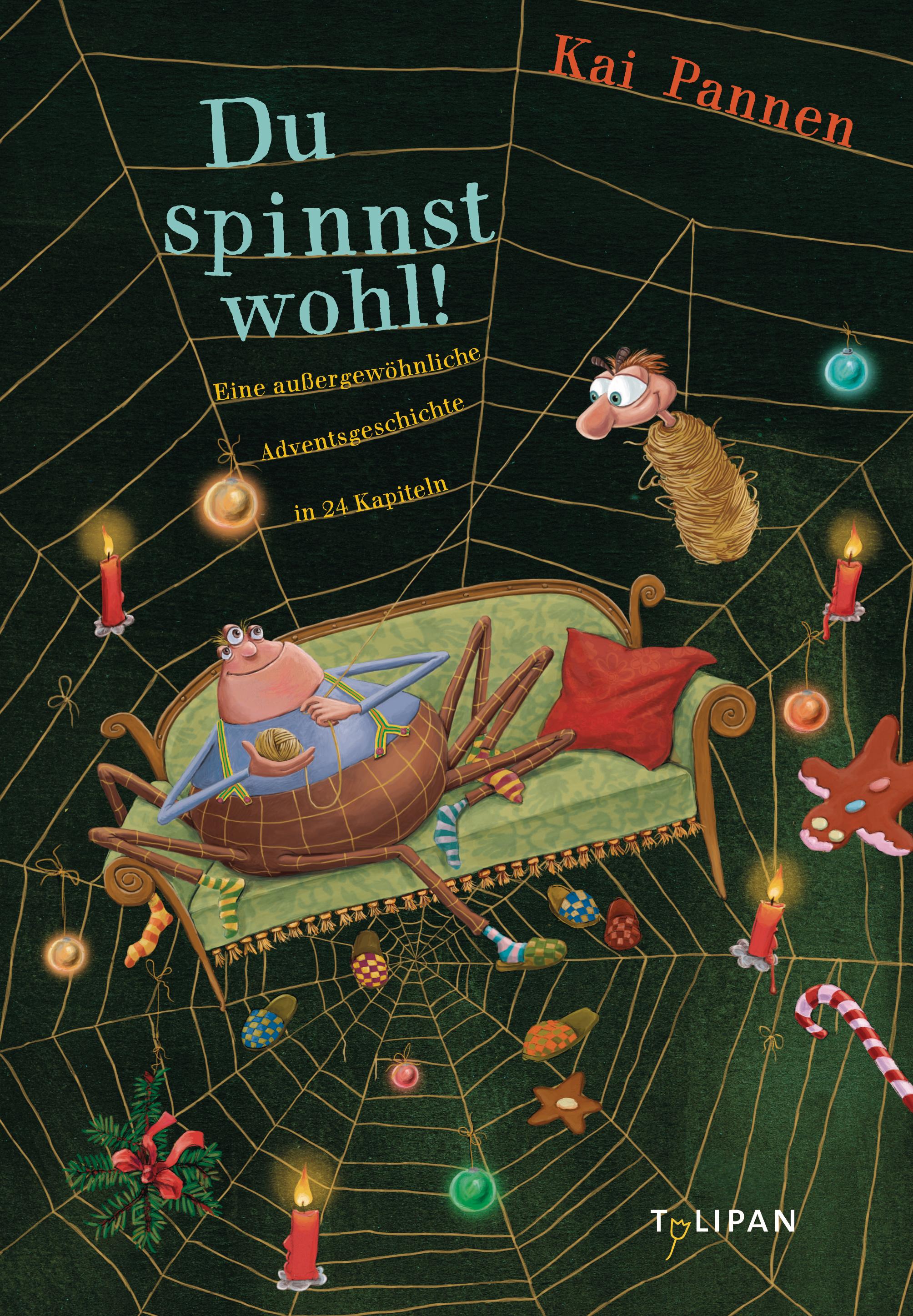 Vorderes Coverbild Du spinnst wohl!