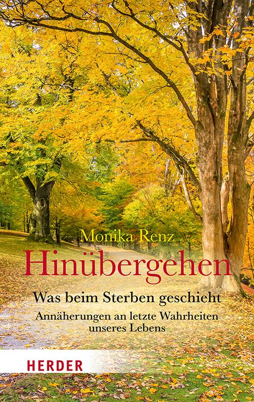 Vorderes Coverbild Hinübergehen
