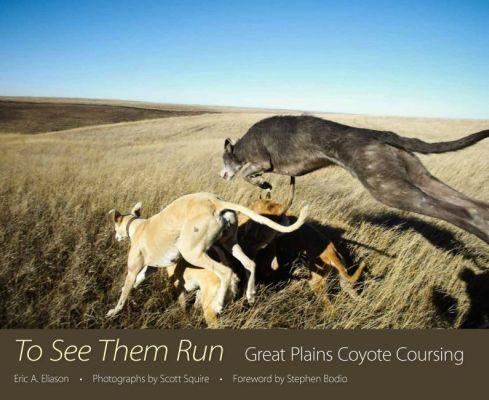 Vorderes Coverbild To See Them Run