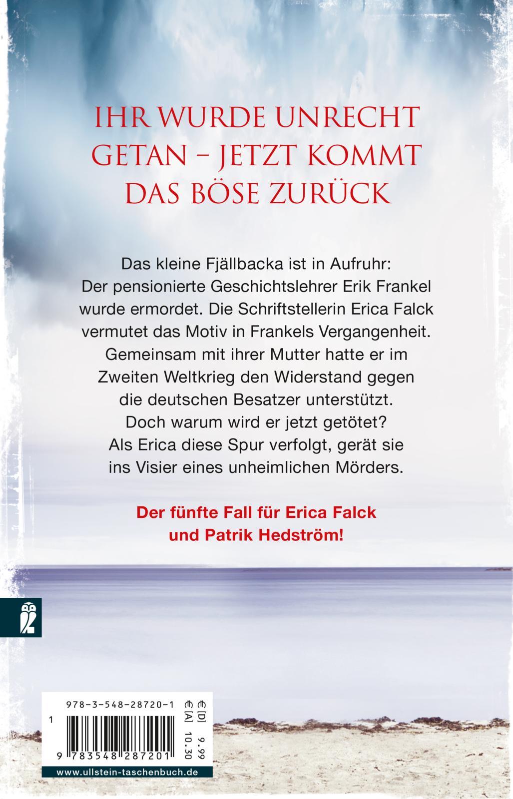 Rückseitencover Engel aus Eis