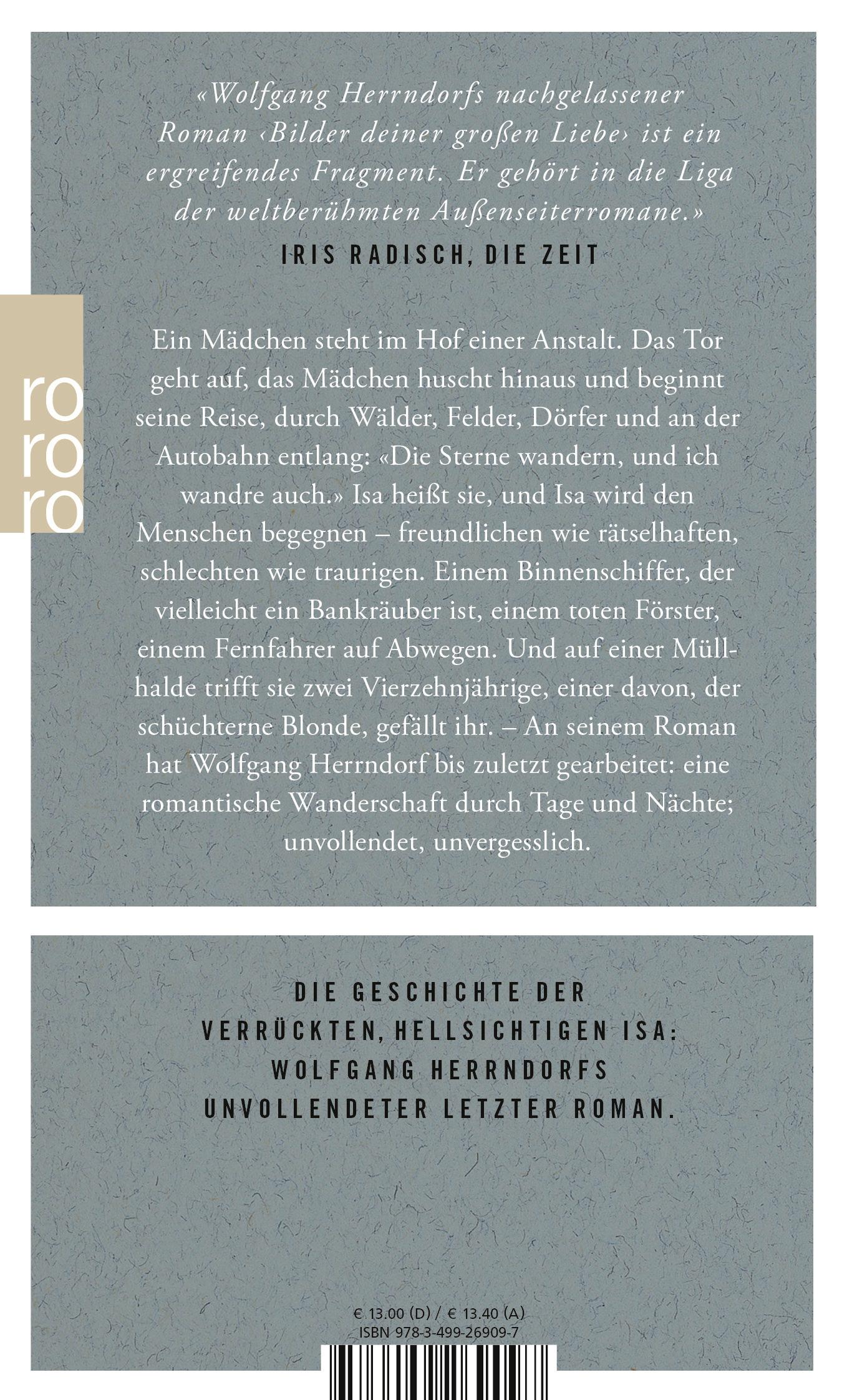 Rückseitencover Bilder deiner großen Liebe
