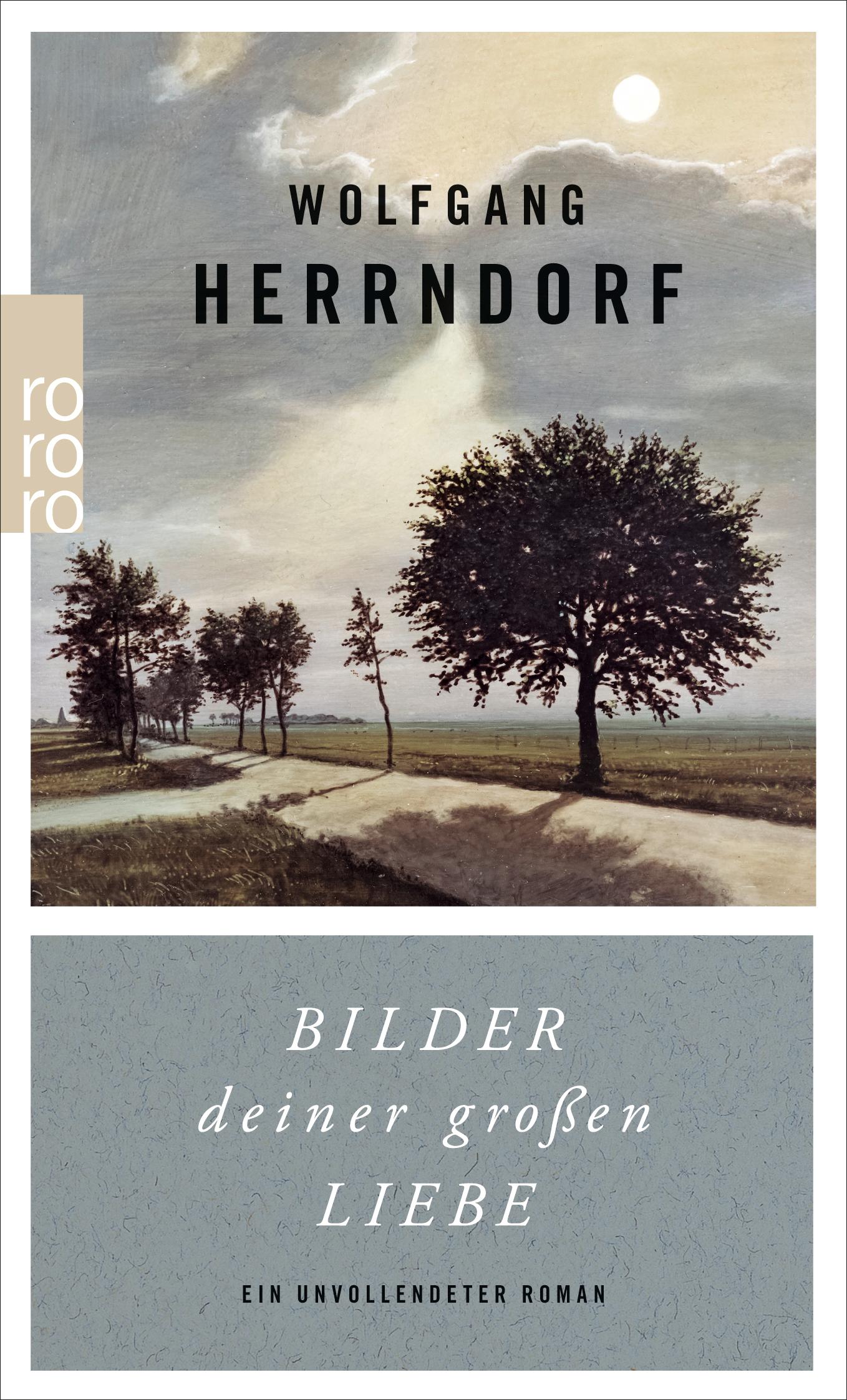Vorderes Coverbild Bilder deiner großen Liebe
