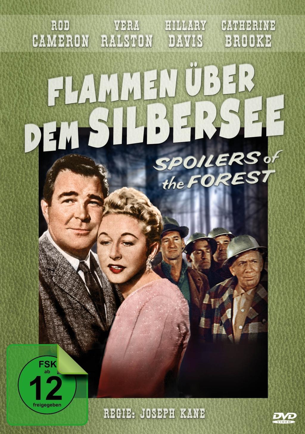 Vorderes Coverbild Flammen über dem Silbersee