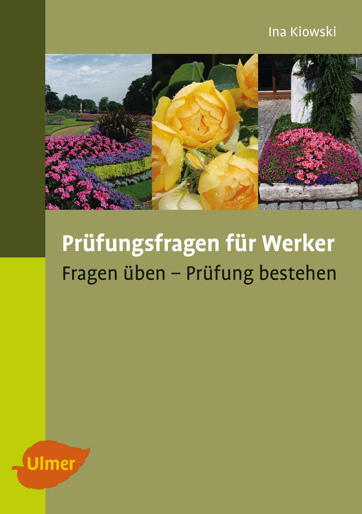 Vorderes Coverbild Prüfungsfragen für Werker