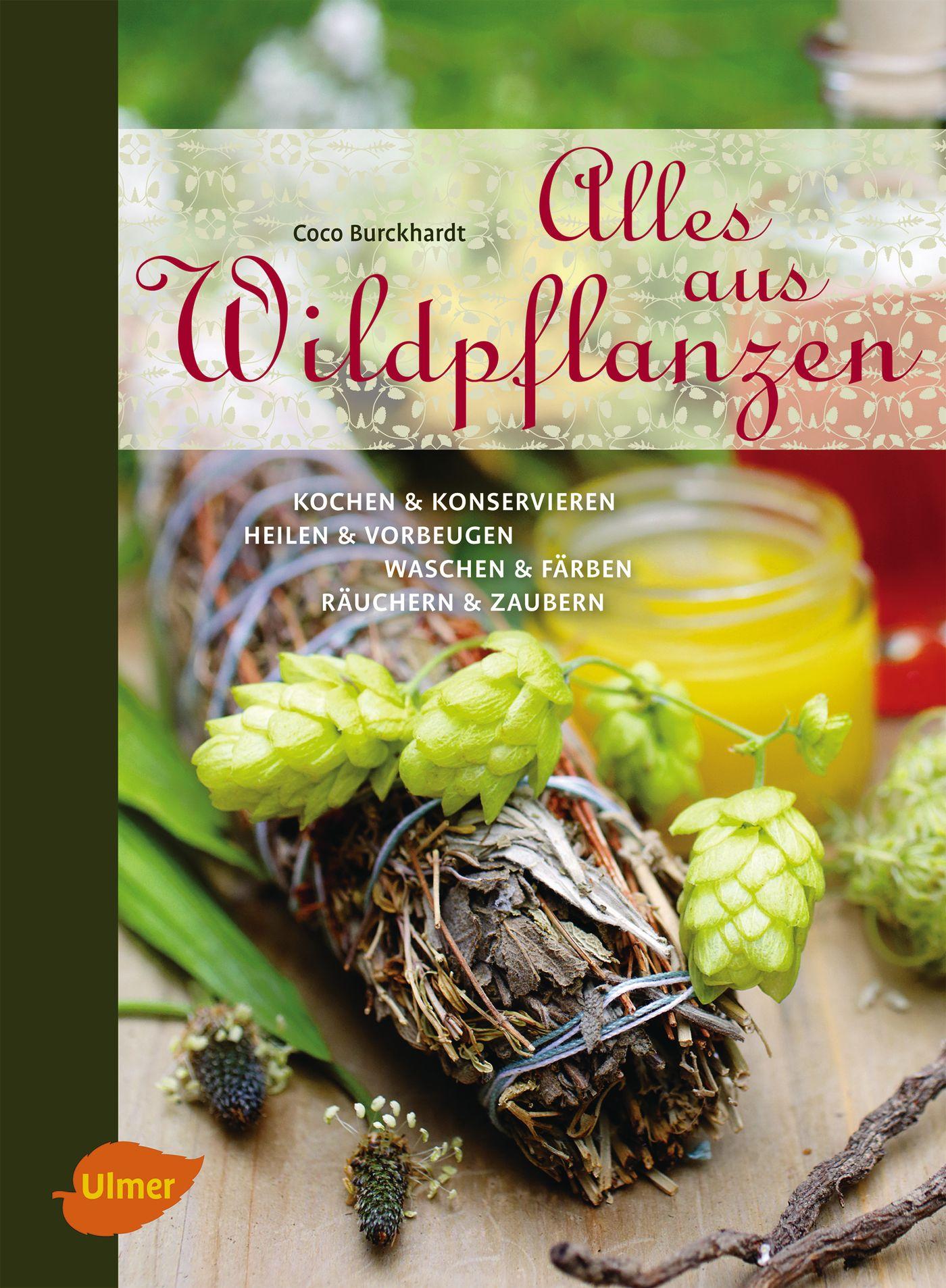 Vorderes Coverbild Alles aus Wildpflanzen