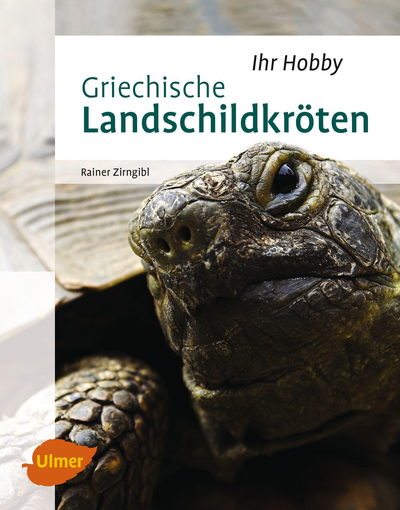 Vorderes Coverbild Griechische Landschildkröten