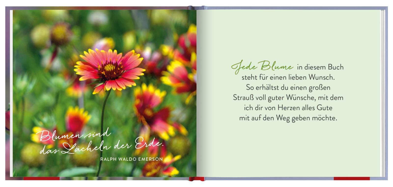 Beispielinhalt (Bild) Ein Strauß voll guter Wünsche