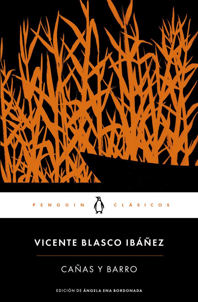 Vorderes Coverbild Cañas y barro