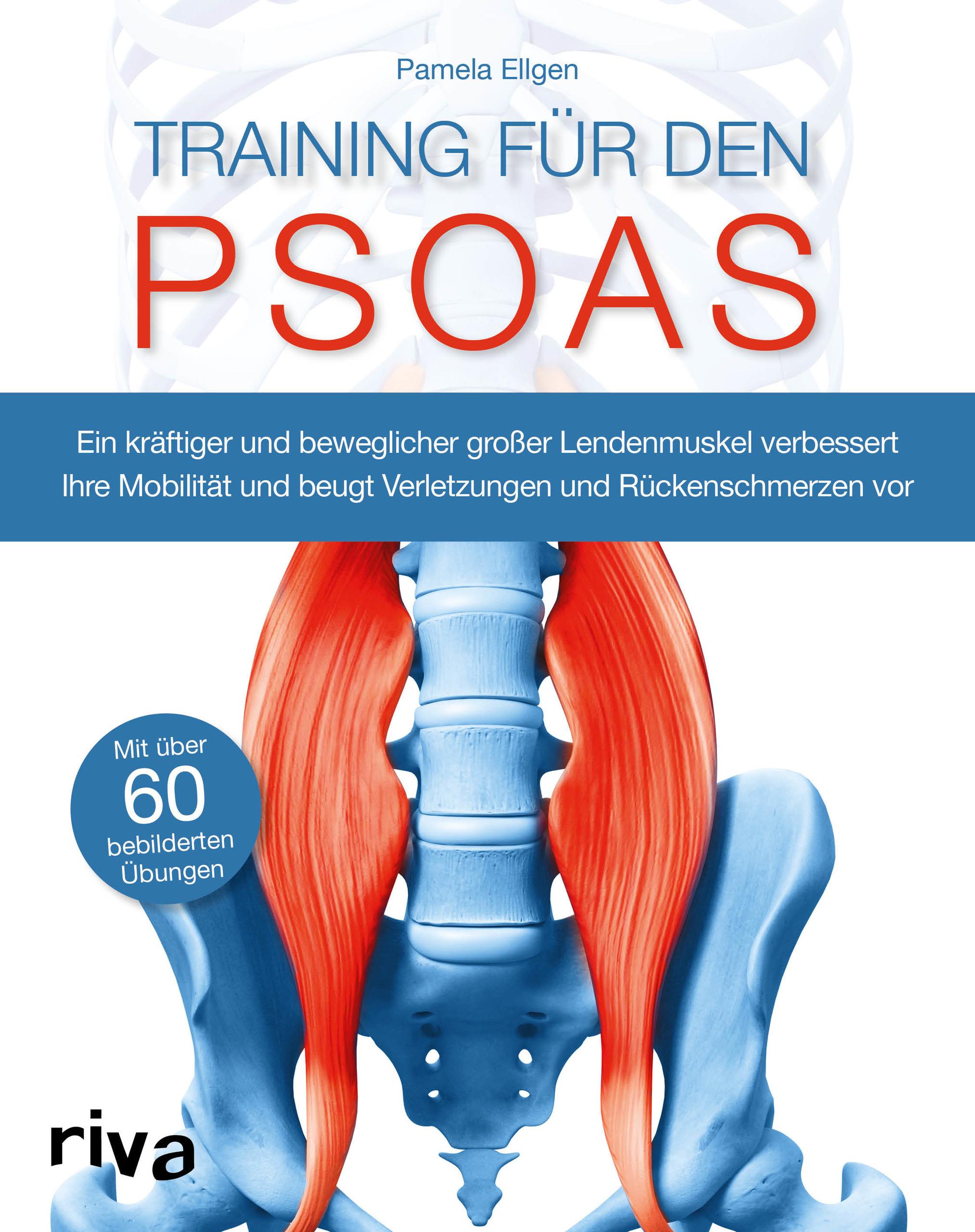 Vorderes Coverbild Training für den Psoas